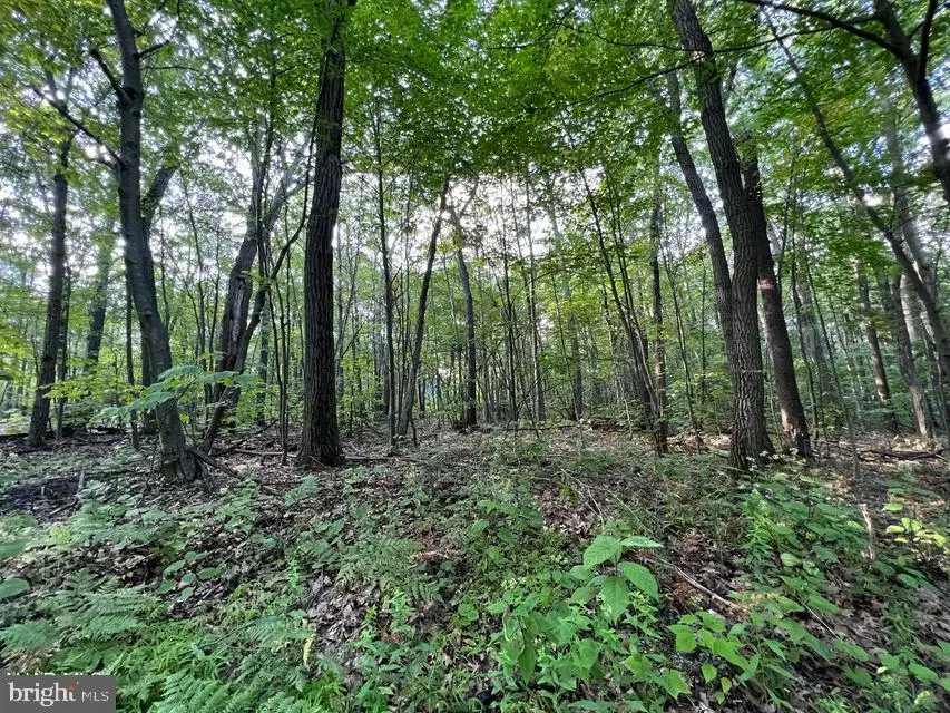 117 & 118 Kittanning (overland Pass) Run, Claysburg, PA 16625 - Image #2