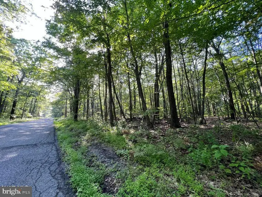 117 & 118 Kittanning (overland Pass) Run, Claysburg, PA 16625 - Image #3