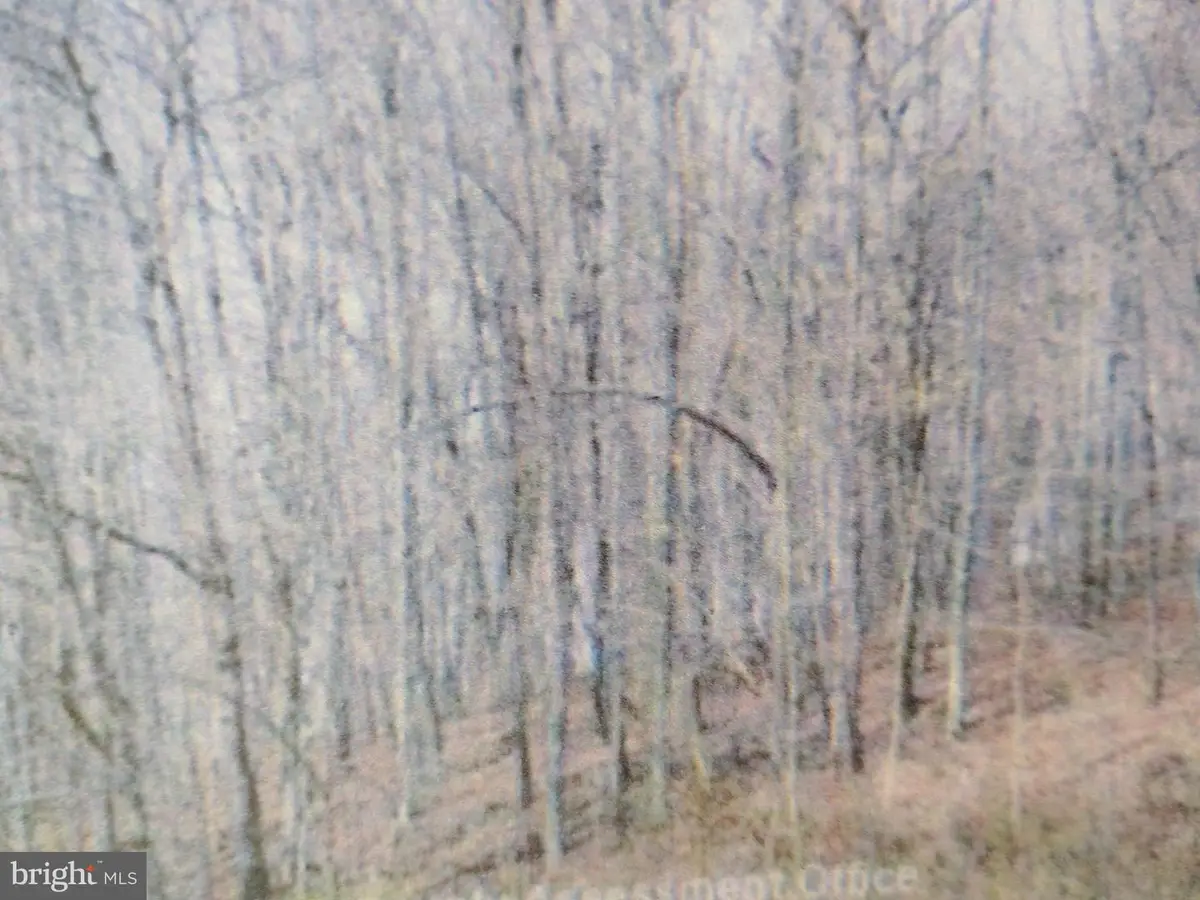 22 Right Hand Gap Rd, Claysburg, PA 16625 - Image #1