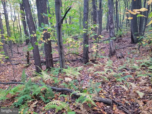 Lot 276 Ironmasters Sandlewood Way, CLAYSBURG, PA 16625