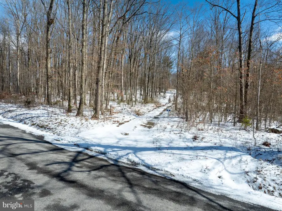 Lot On Gypsy Camp Hollow Rd, Tyrone, PA 16686 - #2