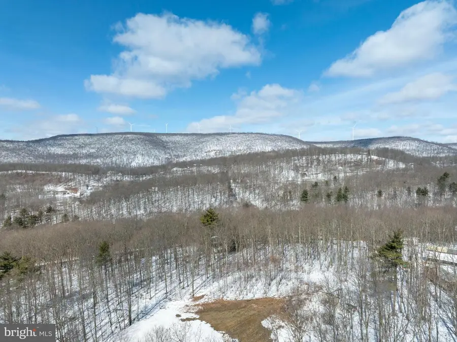 Lot On Gypsy Camp Hollow Rd, Tyrone, PA 16686 - #3