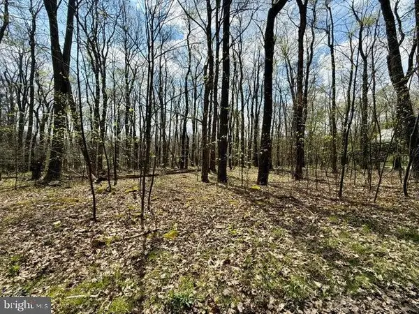 Lot 13 Timerman Rd, CLAYSBURG, PA 16625