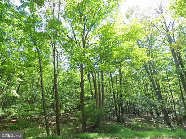 00 Juniata Valley, HOLLIDAYSBURG, PA 16648