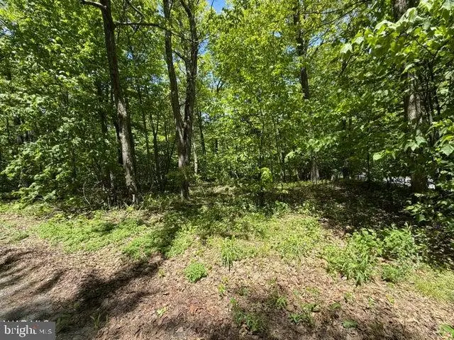 116 Timberman Rd, Claysburg, PA 16625 - #2