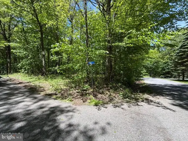 116 Timberman Rd, Claysburg, PA 16625 - #3