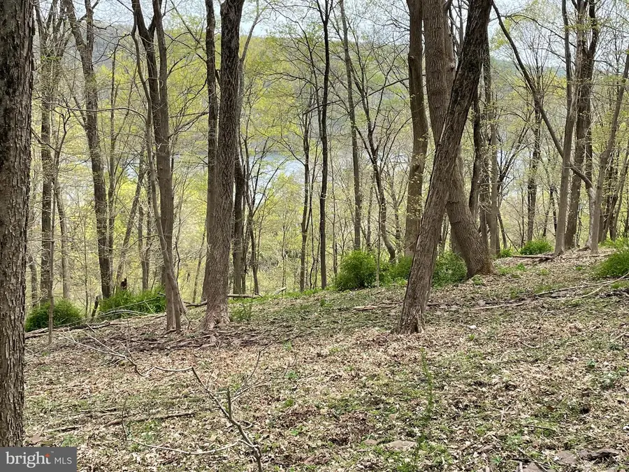 421 River Rd, Pipersville, PA 18947 - Image #3