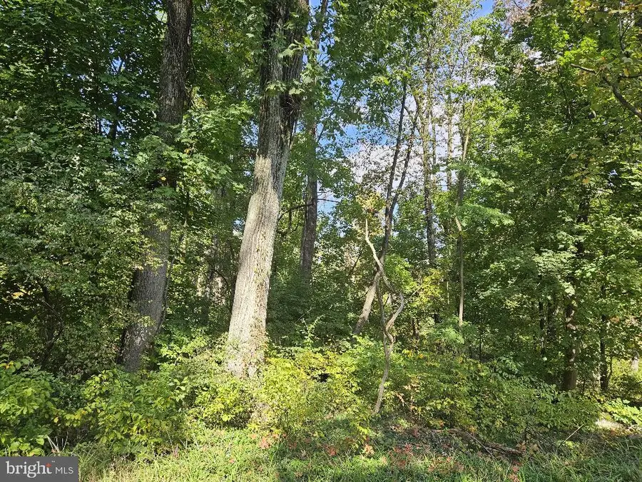 0 State Rd, Coopersburg, PA 18036 - Image #2