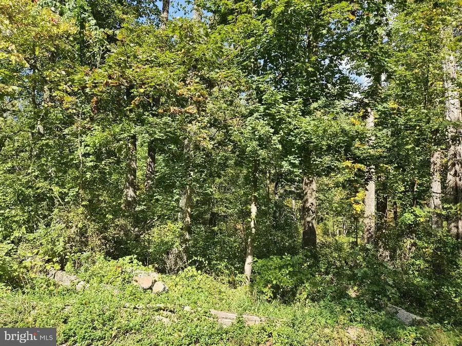 0 State Rd, Coopersburg, PA 18036 - Image #3