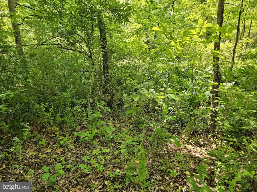 0 Sandy Run, Yardley, PA 19067 - Image #2