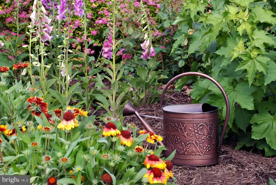 0 Tammany 0 Tammany Rd, Upper Black Eddy, PA 18972 - Image #3