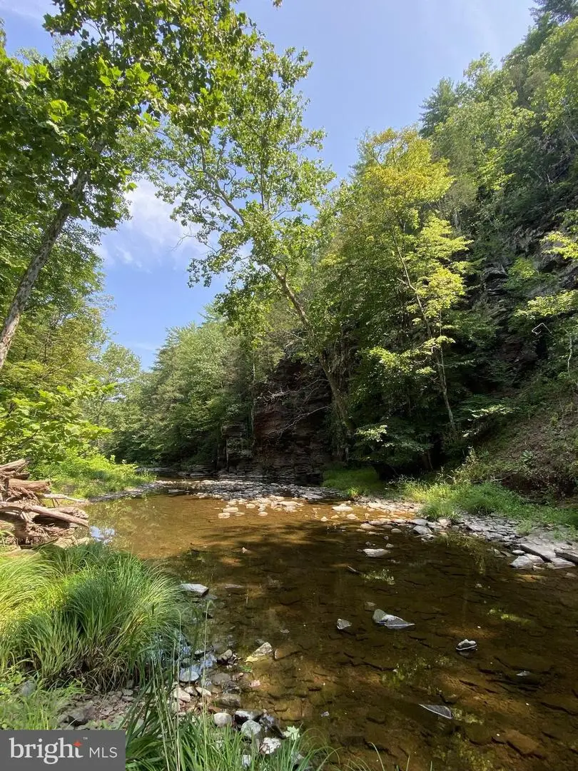 13 Lily Valley Rd, Erwinna, PA 18920 - Image #2