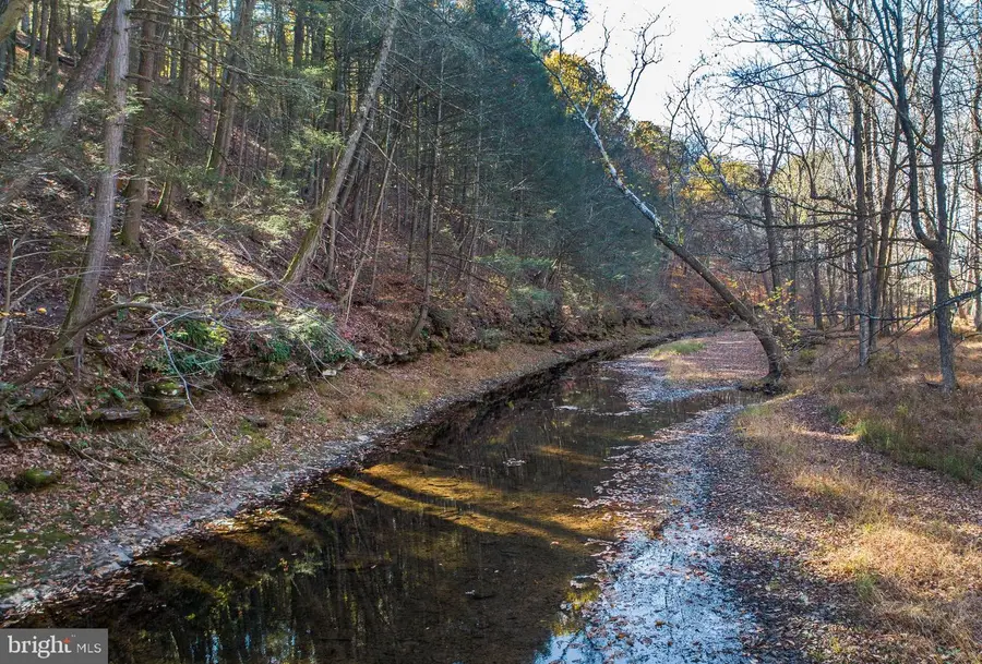 13 Lily Valley Rd, Erwinna, PA 18920 - Image #3