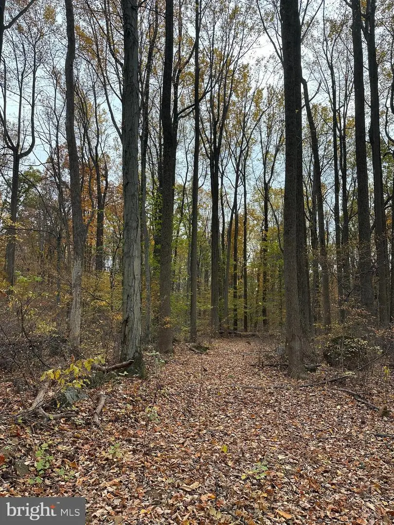 0 Reed Ln, Kintnersville, PA 18930 - #3