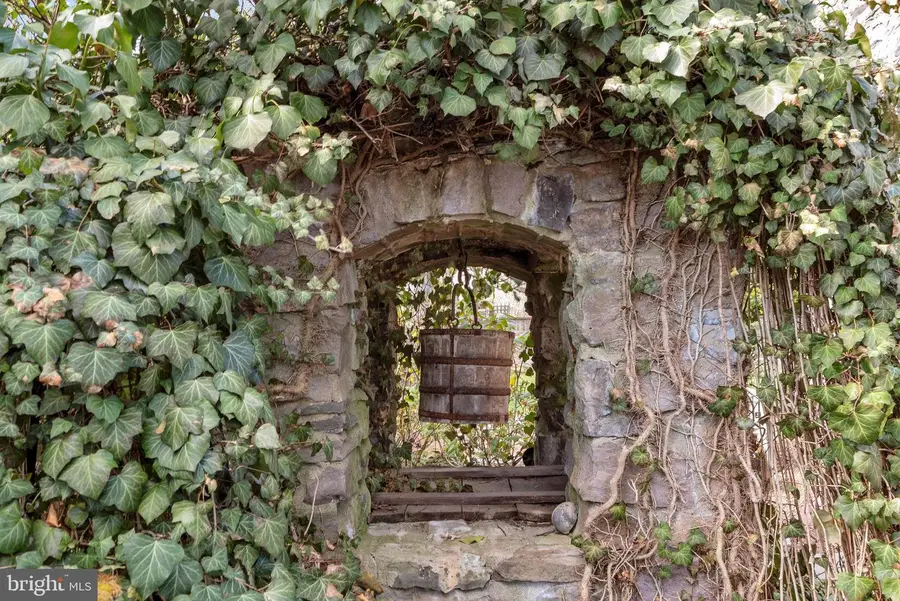 338 Upper Tinicum Church Rd, Upper Black Eddy, PA 18972 - #3