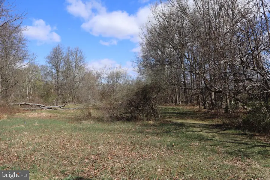 1583 Chestnut Ridge Rd, Upper Black Eddy, PA 18972 - #2