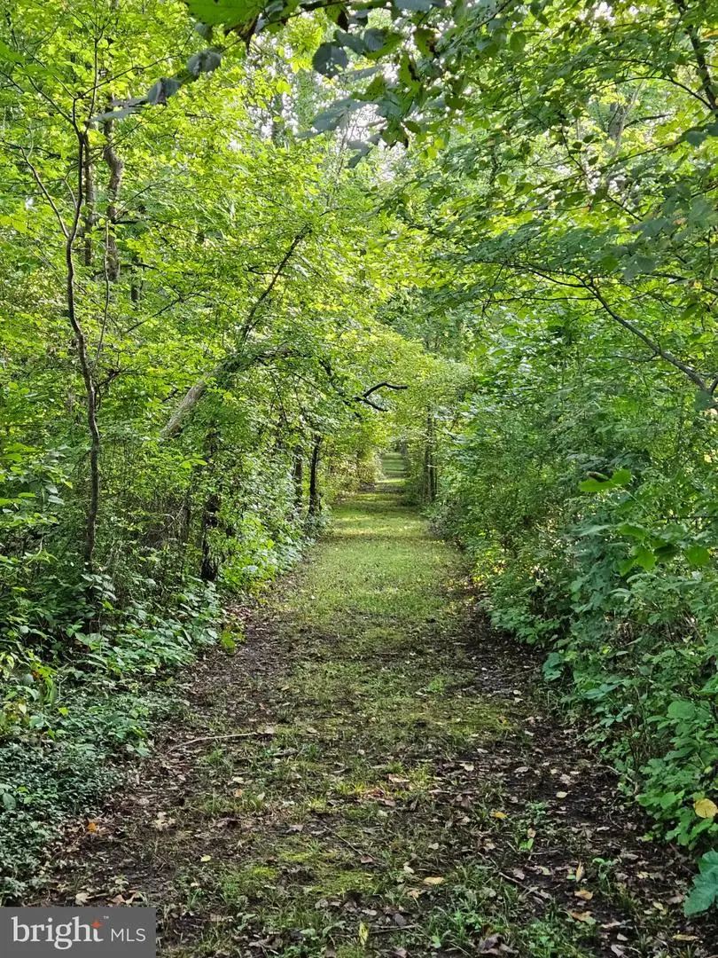 916 Thousand Acre Rd, Sellersville, PA 18960 - #2
