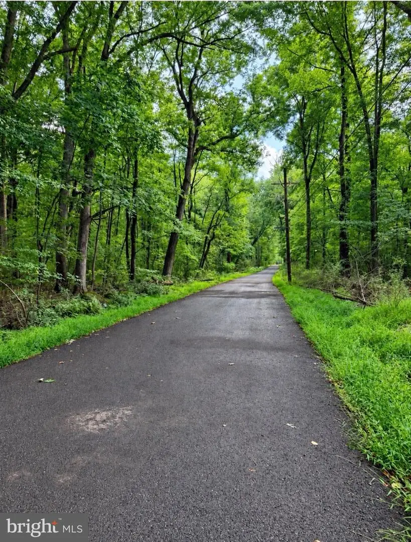 Boulder Rd, Upper Black Eddy, PA 18972 - #3