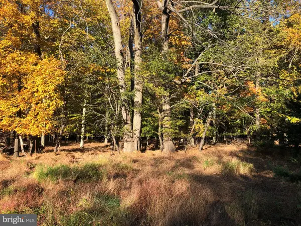 0 Lonely Cottage Rd, UPPER BLACK EDDY, PA 18972