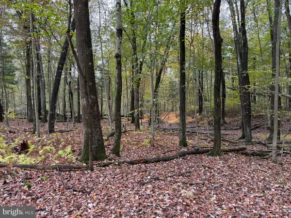 E Locust St, MOUNT HOLLY SPRINGS, PA 17065