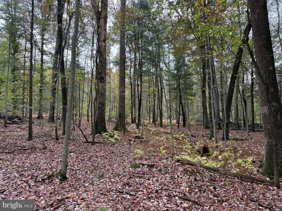 E Locust St, Mount Holly Springs, PA 17065 - #2