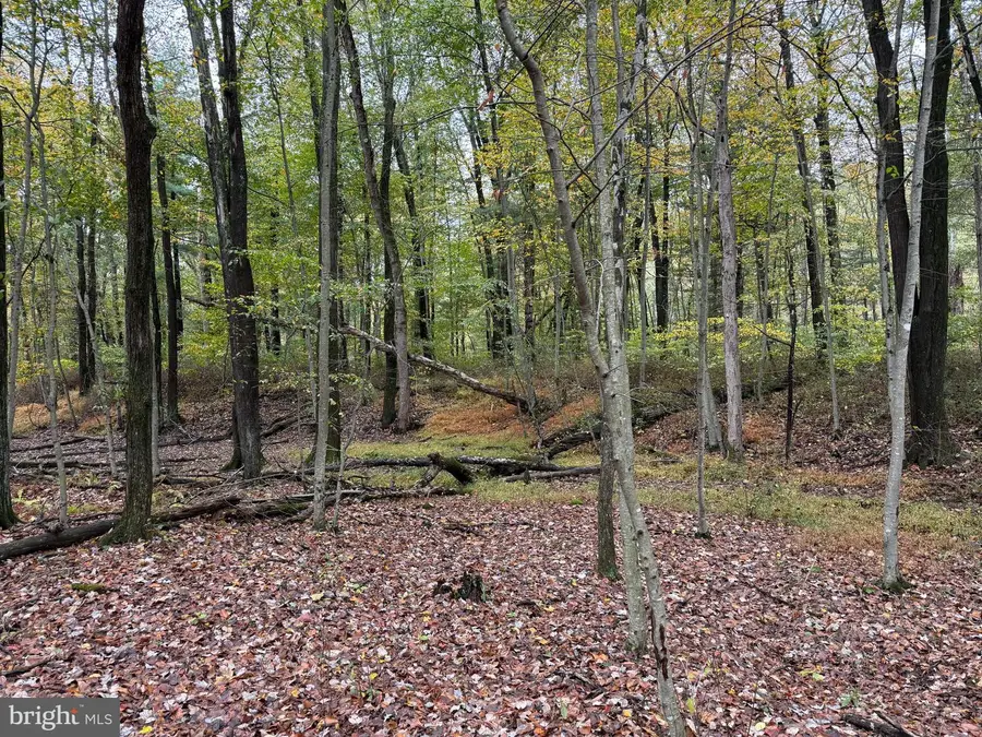 E Locust St, Mount Holly Springs, PA 17065 - #3