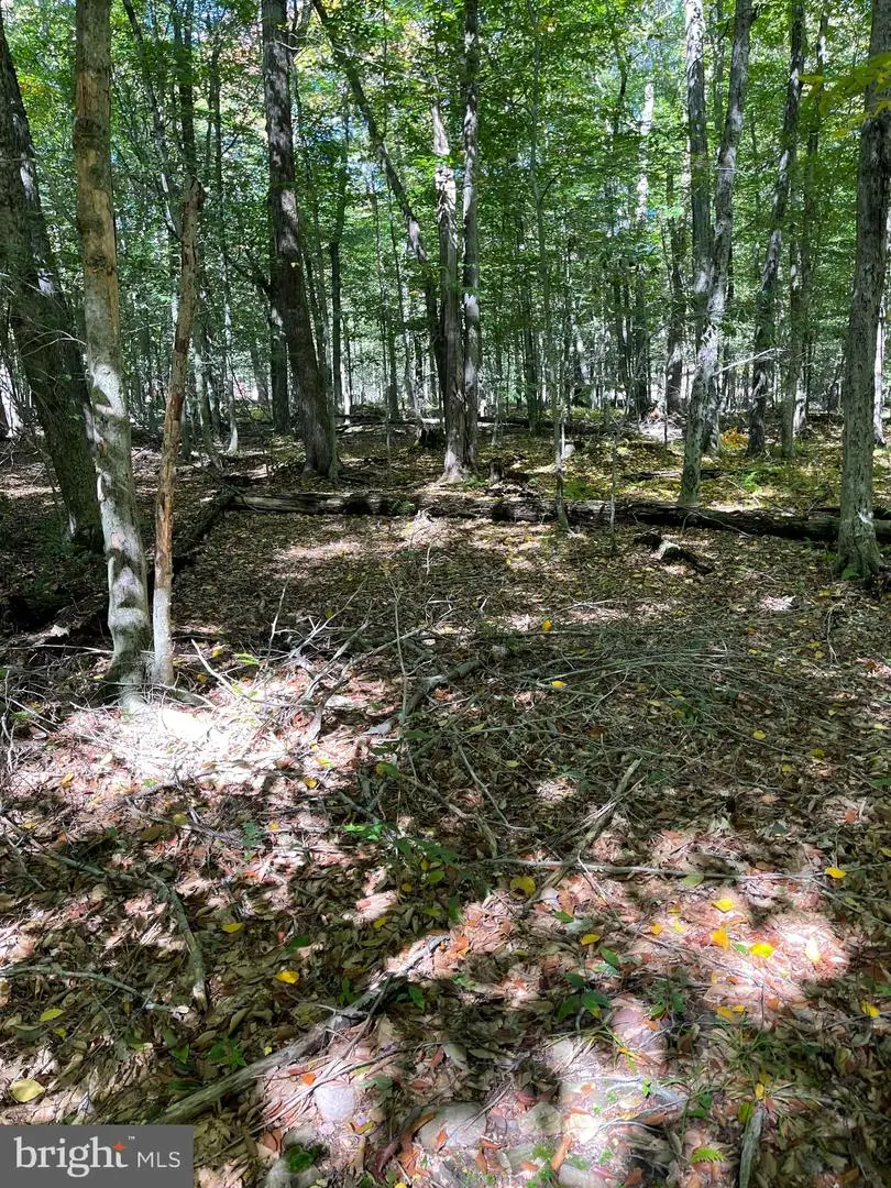 Ff33hf Breezewood Dr, Albrightsville, PA 18210 - Image #2