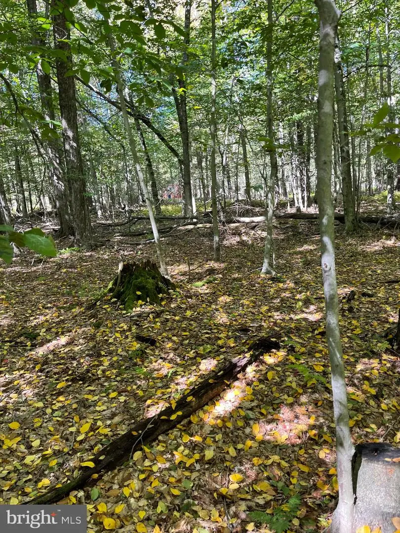 Ff33hf Breezewood Dr, Albrightsville, PA 18210 - Image #3