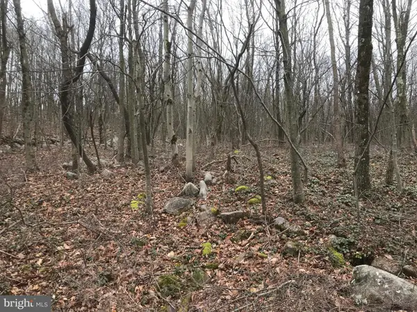 Lot# 367 & 368 Sparrow Ln, JIM THORPE, PA 18229