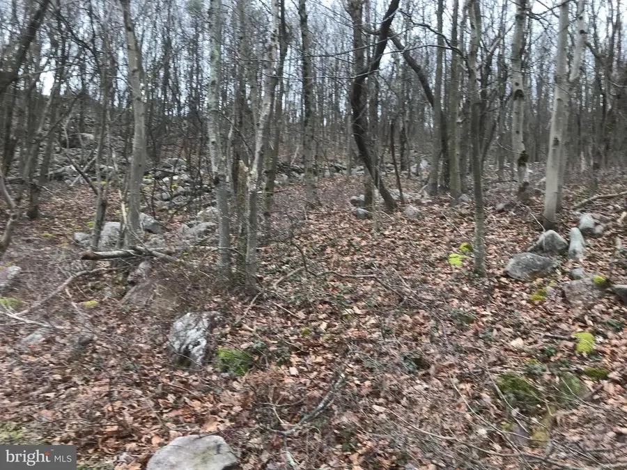 Lot# 367 & 368 Sparrow Ln, Jim Thorpe, PA 18229 - Image #2