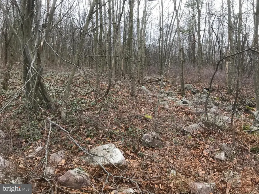Lot# 367 & 368 Sparrow Ln, Jim Thorpe, PA 18229 - Image #3