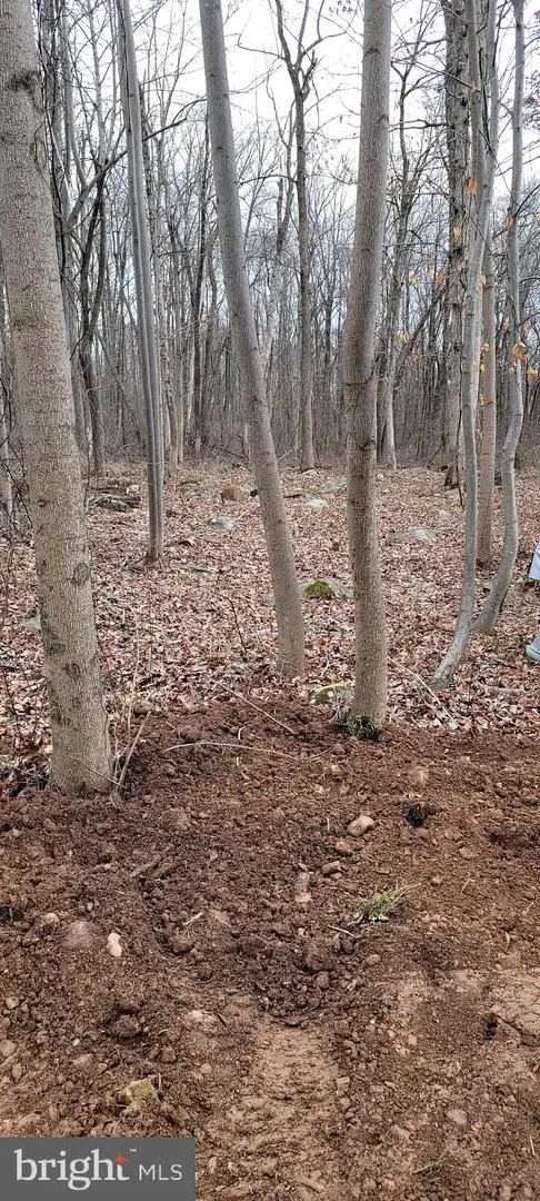 915 Narragansett Trl, Albrightsville, PA 18210 - Image #1