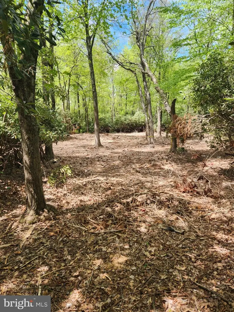 6 Brachts Ln, Lake Harmony, PA 18624 - Image #3