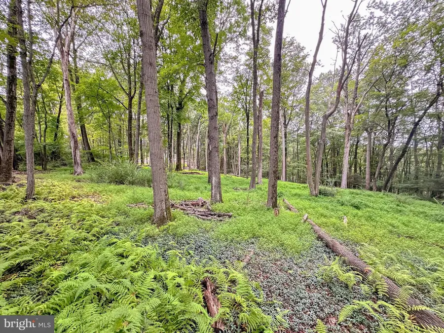 0 Pine Hollow, Lehighton, PA 18235 - Image #2