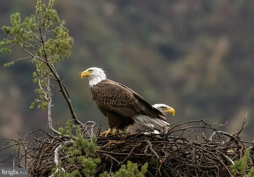 614 Graystones Jeras Rd Lot Hv-1, Albrightsville, PA 18210 - Image #3