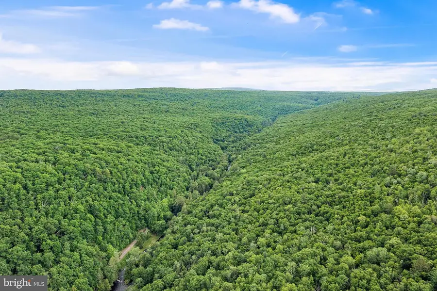614 Graystones Jeras Rd Lot H-10, Albrightsville, PA 18210 - #3