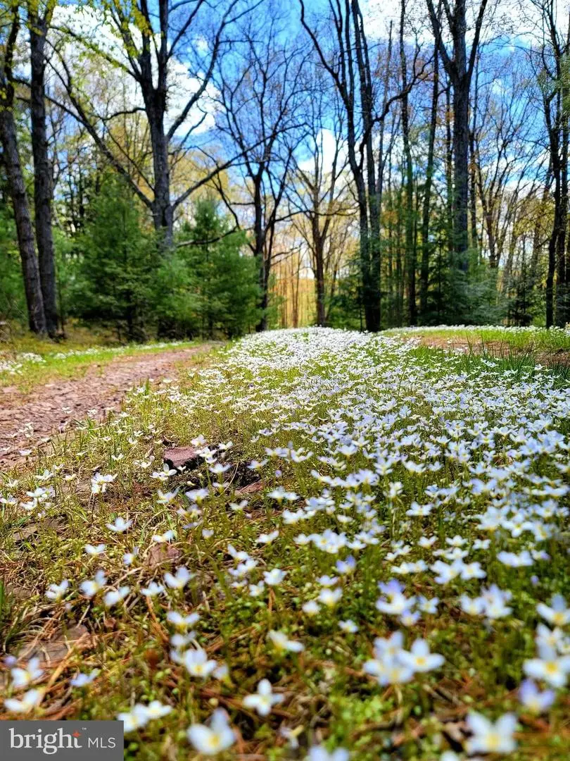 614 Graystones Jeras Rd Lot H-13, Albrightsville, PA 18210 - #2