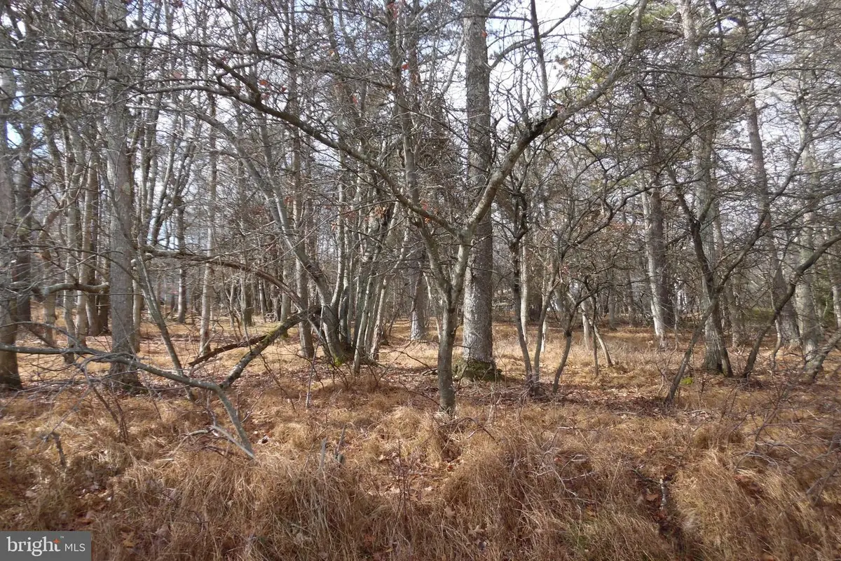 Lot D1922 Old Stage Rd, Albrightsville, PA 18210 - Image #1