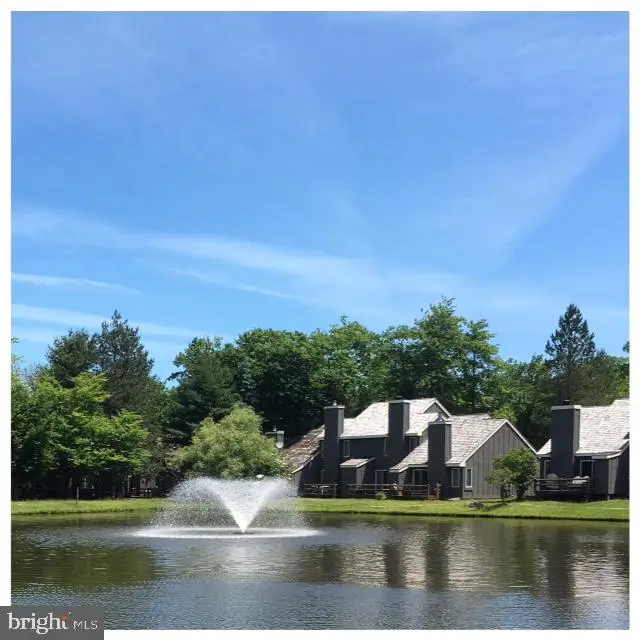 116 Snow Ridge Cir, Lake Harmony, PA 18624 - #1