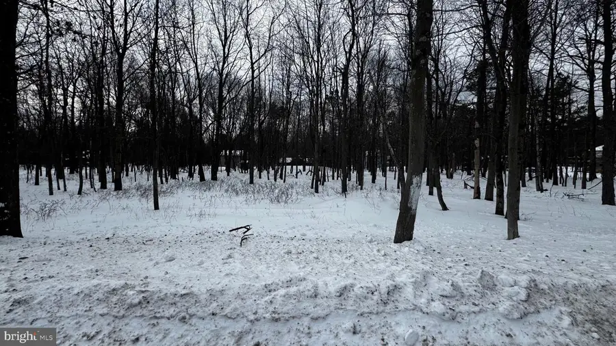 0 Stony Mountain Rd #lot Ev961, Albrightsville, PA 18210 - #2