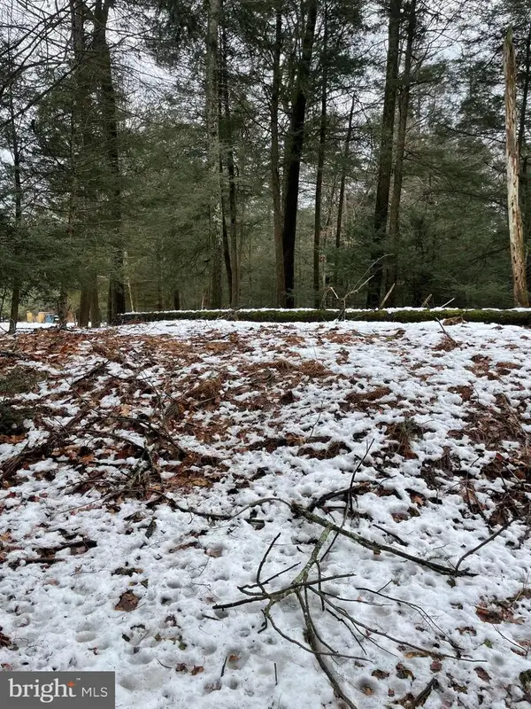 166 Lakeside Ln, ALBRIGHTSVILLE, PA 18210