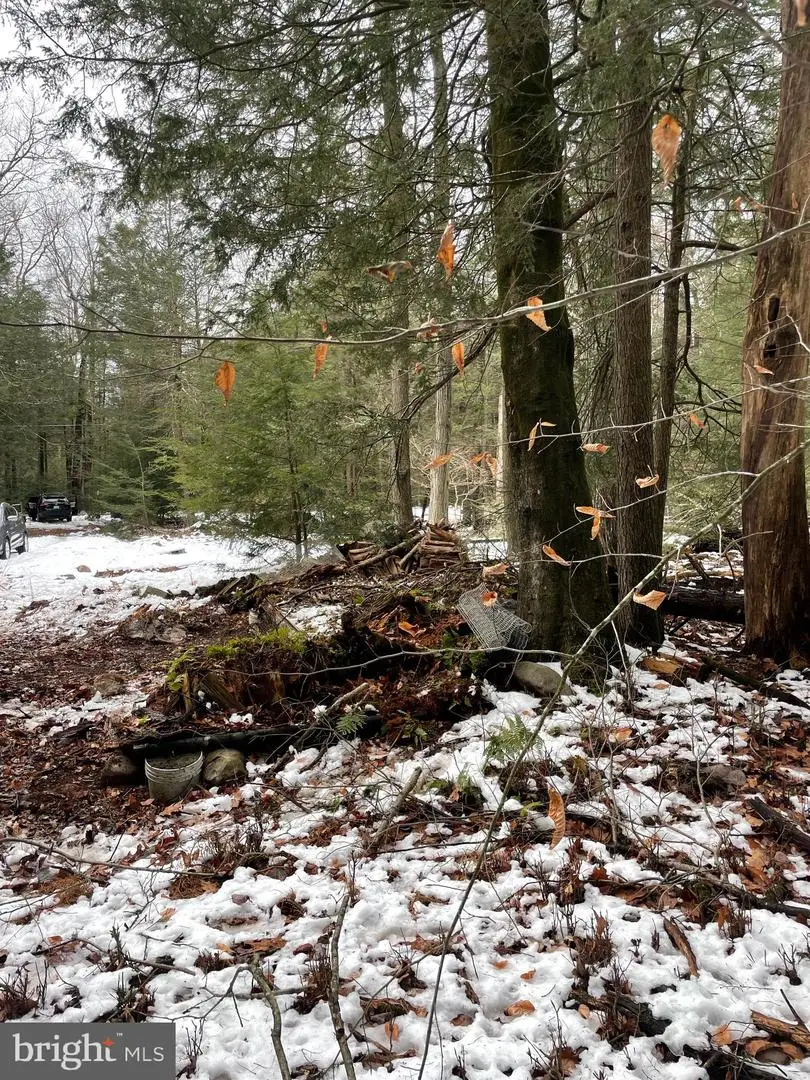 166 Lakeside Ln, Albrightsville, PA 18210 - #2