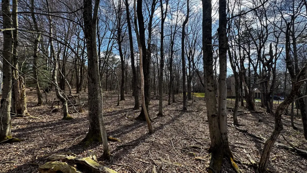 0 Stony Mountain, Albrightsville, PA 18210 - #1