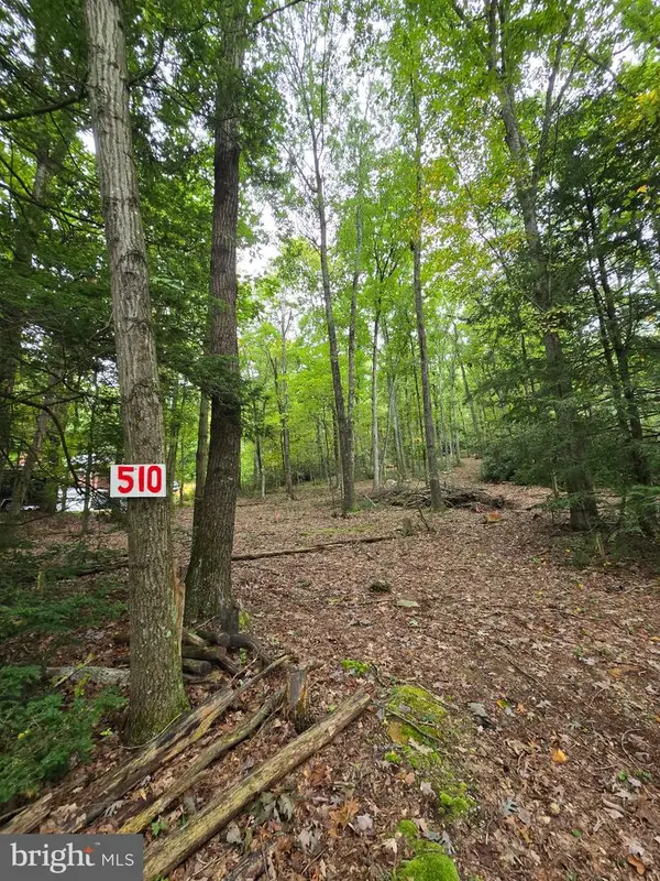 510 W White Bear Dr, SUMMIT HILL, PA 18250