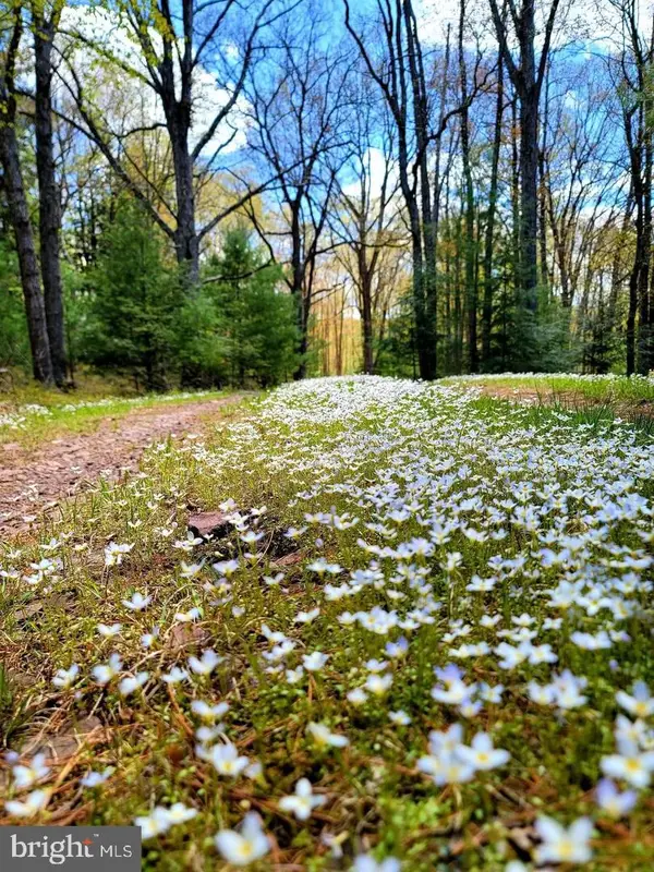 614 Graystones Jeras Rd Lot H-14, ALBRIGHTSVILLE, PA 18210
