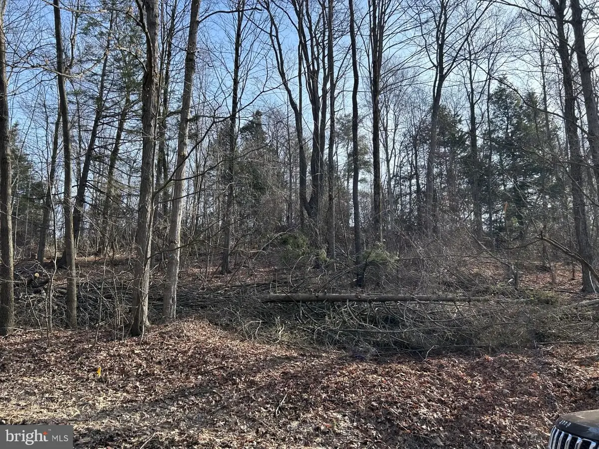 Lot On Wall Farm Road, Grampian, PA 16838 - Image #1