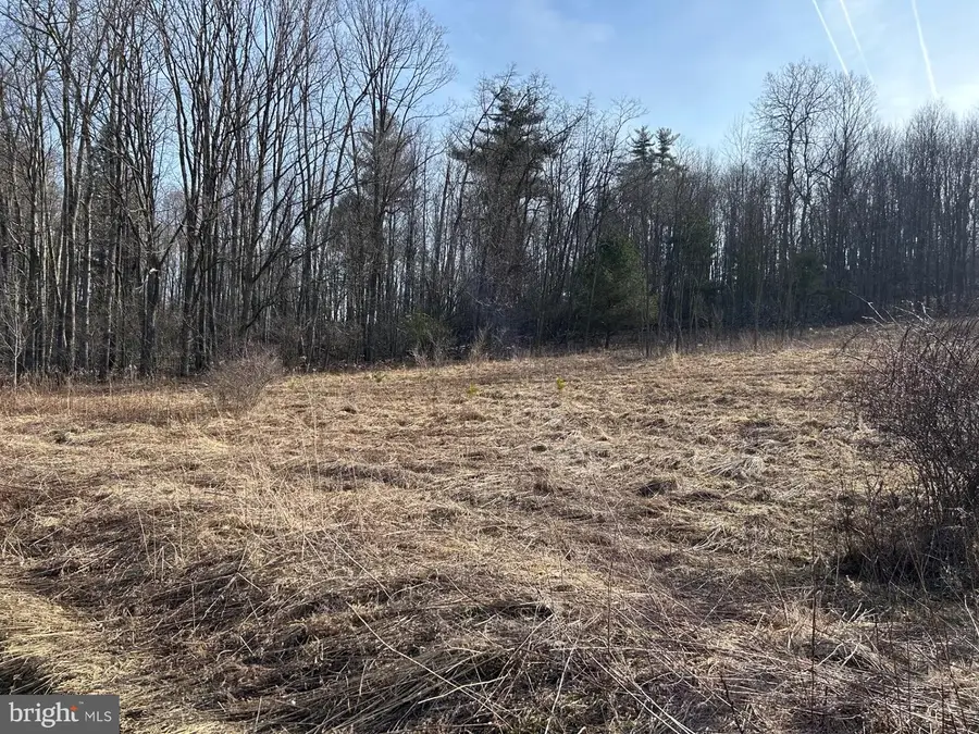 Lot On Wall Farm Road, Grampian, PA 16838 - Image #3