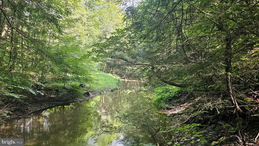 24.59 Acres Mahaffey Grampian Hwy, Mahaffey, PA 15757 - Image #3