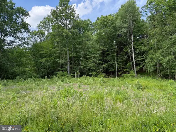 0 Frog Hollow Rd, PHILIPSBURG, PA 16866