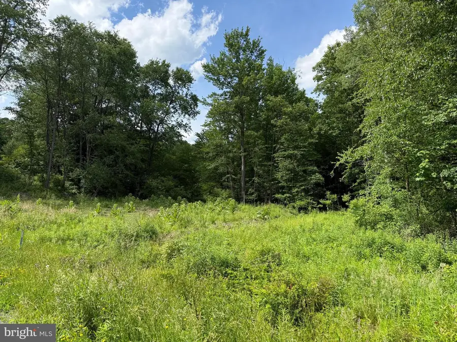 0 Frog Hollow Rd, Philipsburg, PA 16866 - #3
